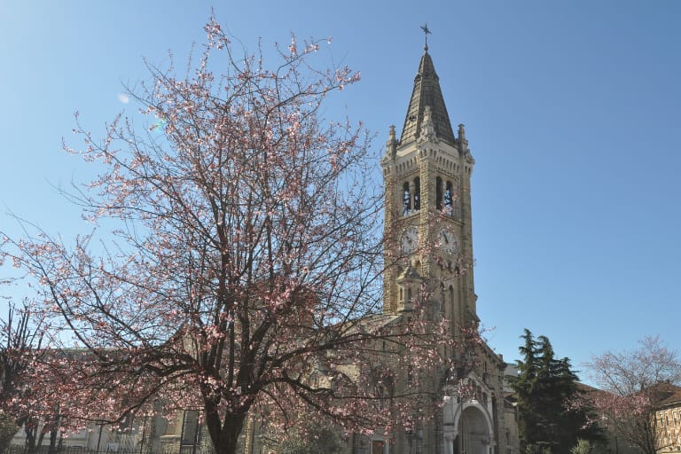 Servizi Santa Rita Torino